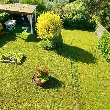 Holiday home Casa Orchidea *